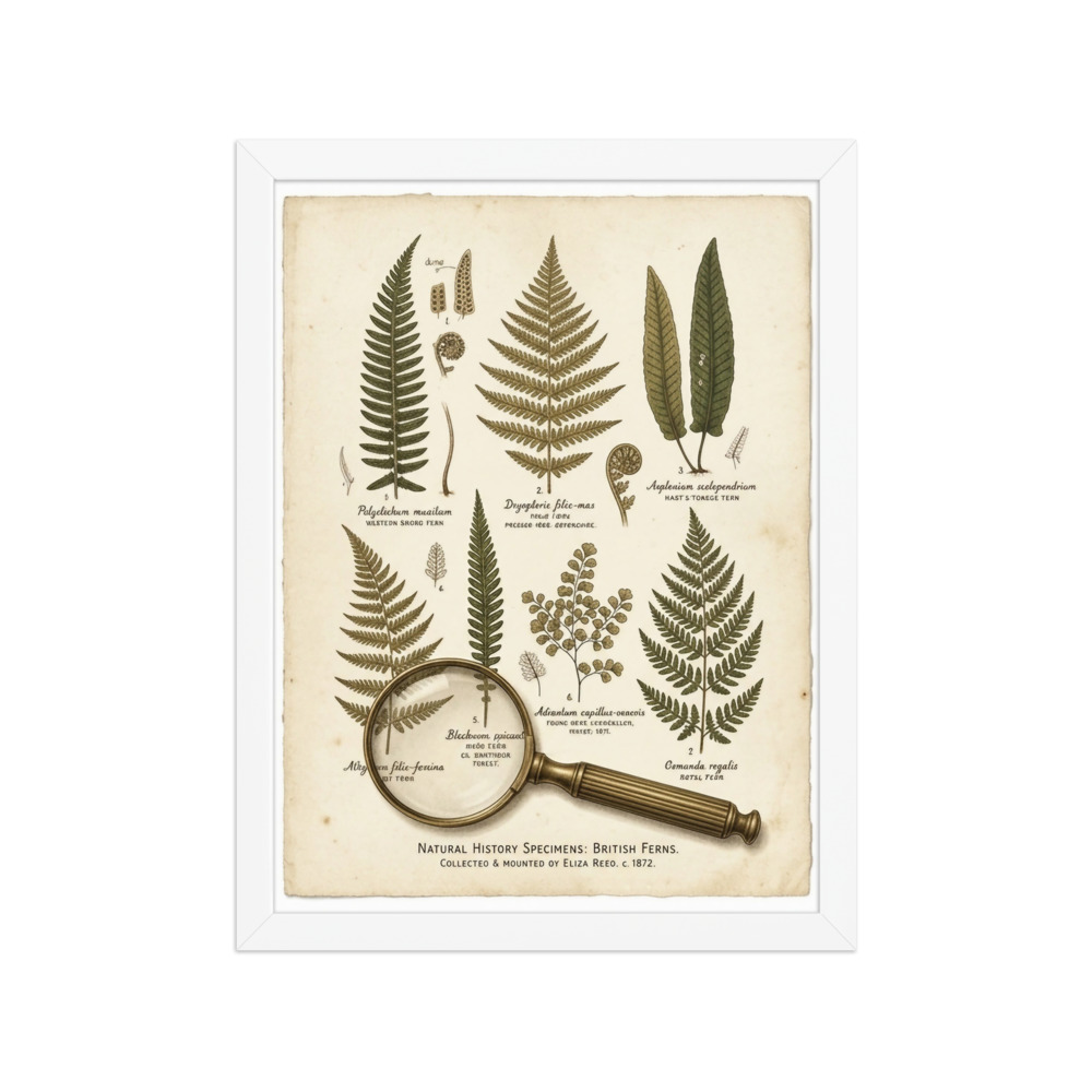 Pressed fern fronds art print, Victorian botanical illustration, antique study decor, naturalist gift, botanical art for library