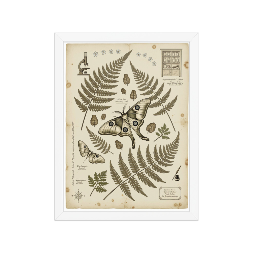 Luna Moth & Ferns Art Print, dark academia botanical wall art, Victorian study decor, gothic nature gift for readers