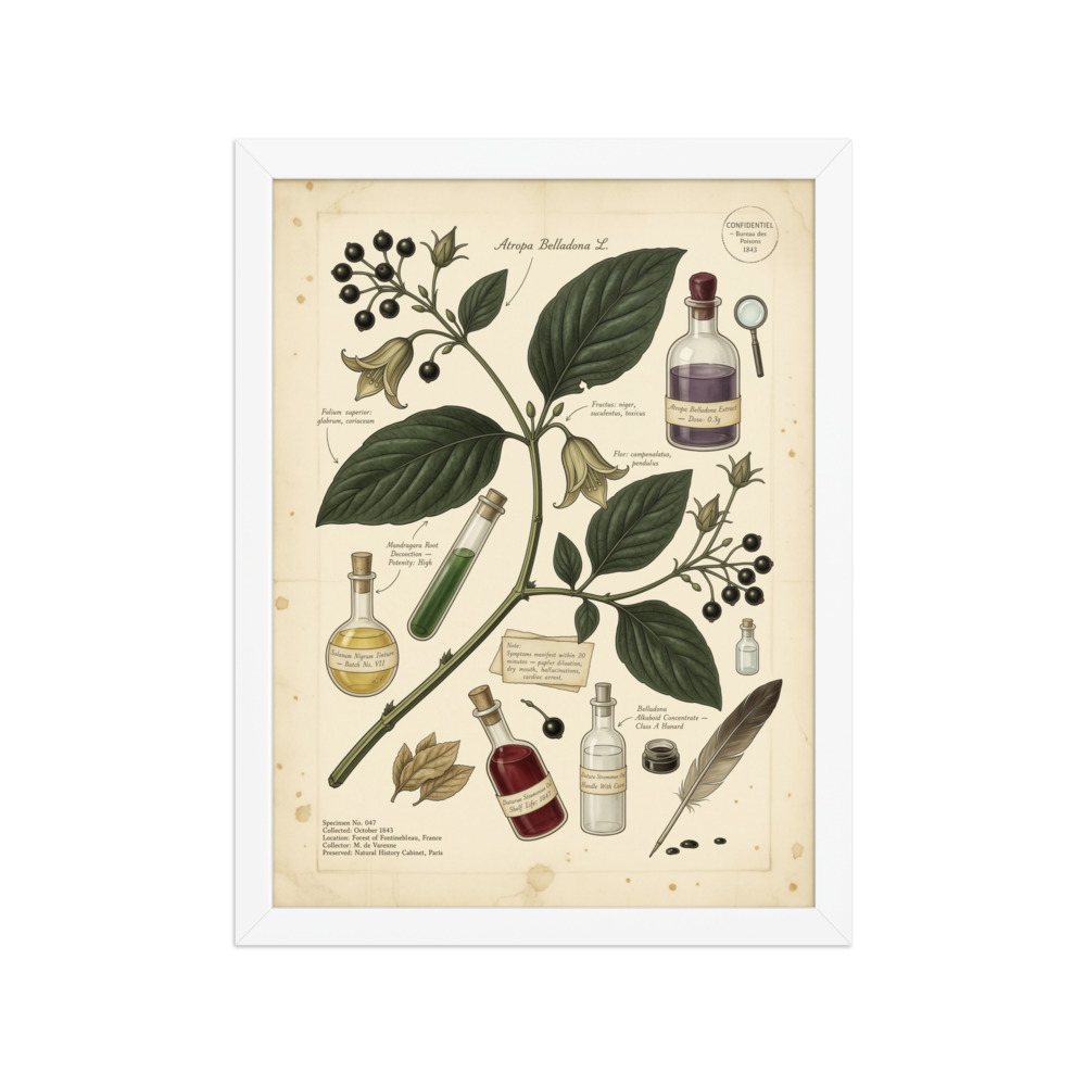 Belladonna sprig with poison vials Art Print, gothic botanical wall art, Victorian study decor, dark academia gift