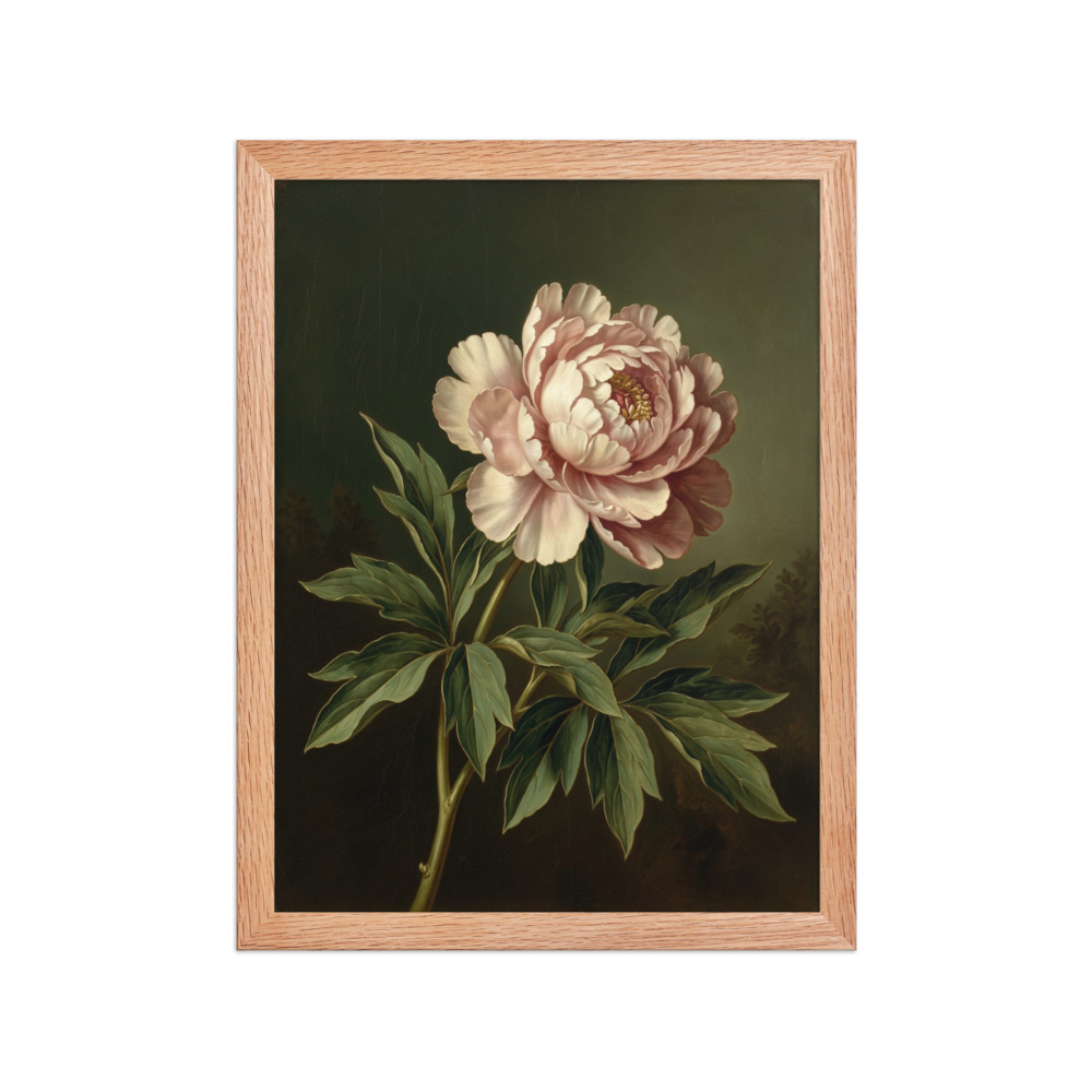 Peony Oil Painting