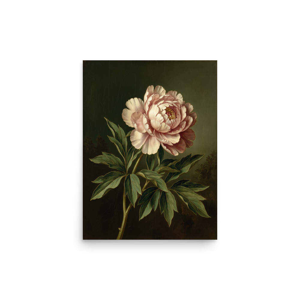 Peony Oil Painting