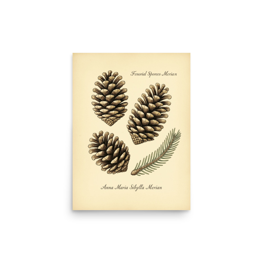 Pinecone Study