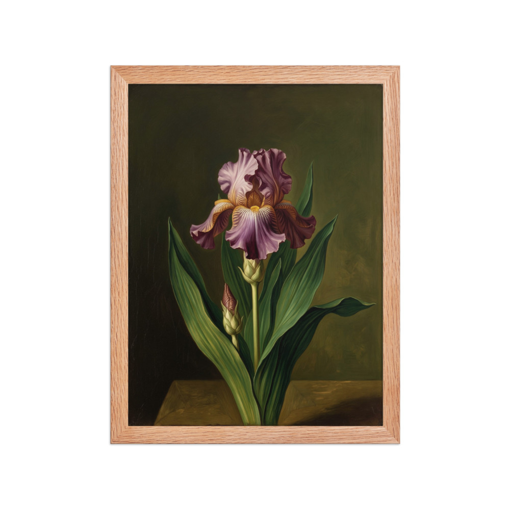 Iris Oil Painting