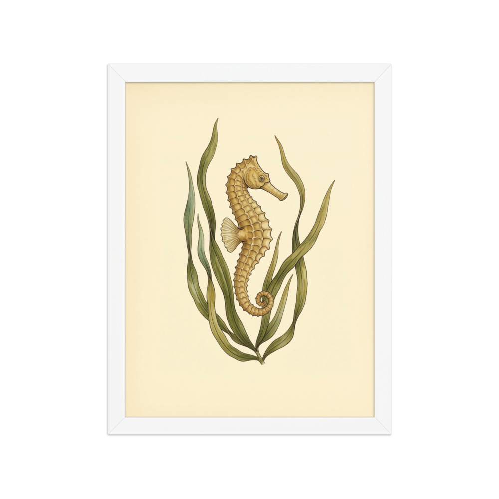 Seahorse Botanical