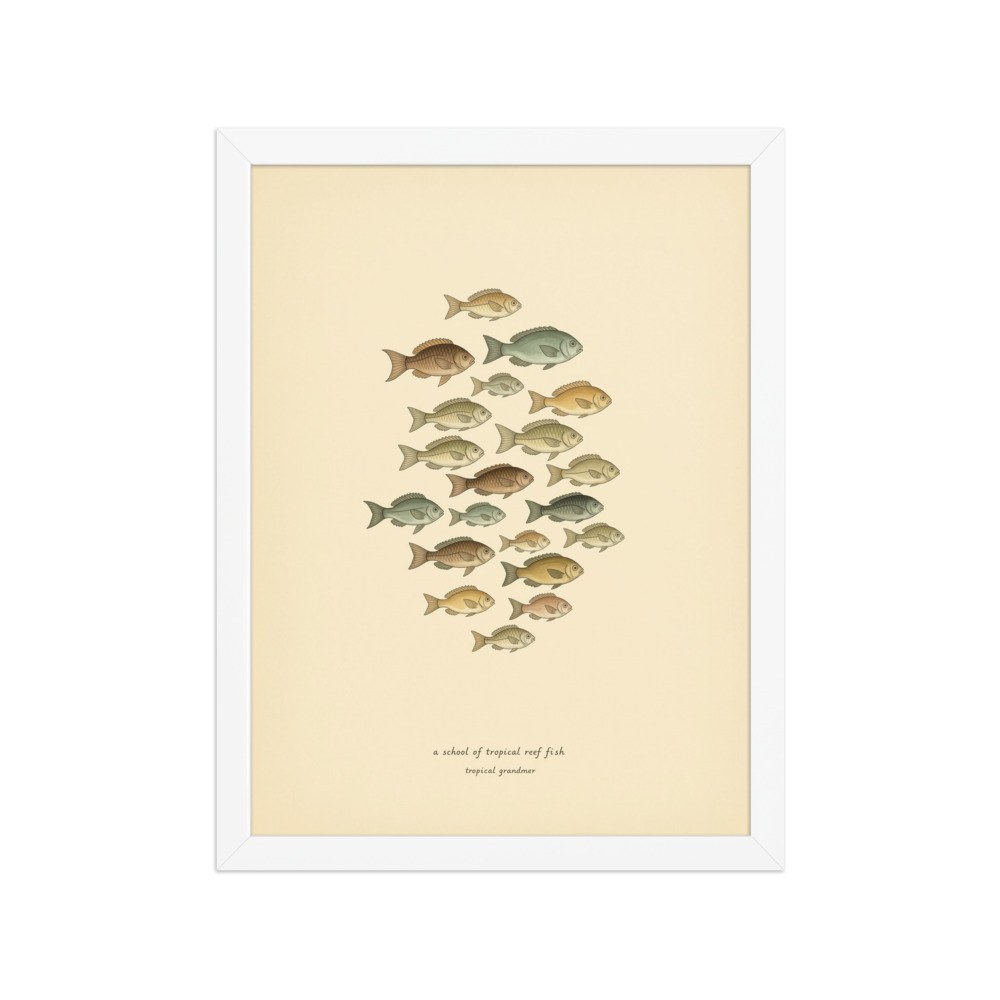 Tropical Reef Fish Chart
