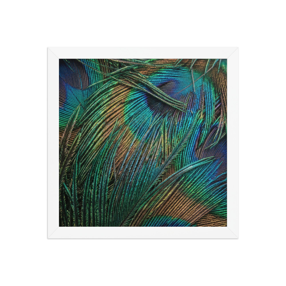 Peacock Feather Macro Art Print, iridescent nature photography, abstract wall decor, gift for bird lovers, bedroom decor