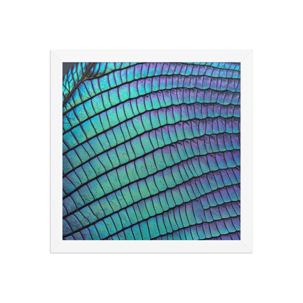 Morpho Butterfly Wing Scales Art Print, abstract macro photography, nature wall decor, gift for butterfly lovers