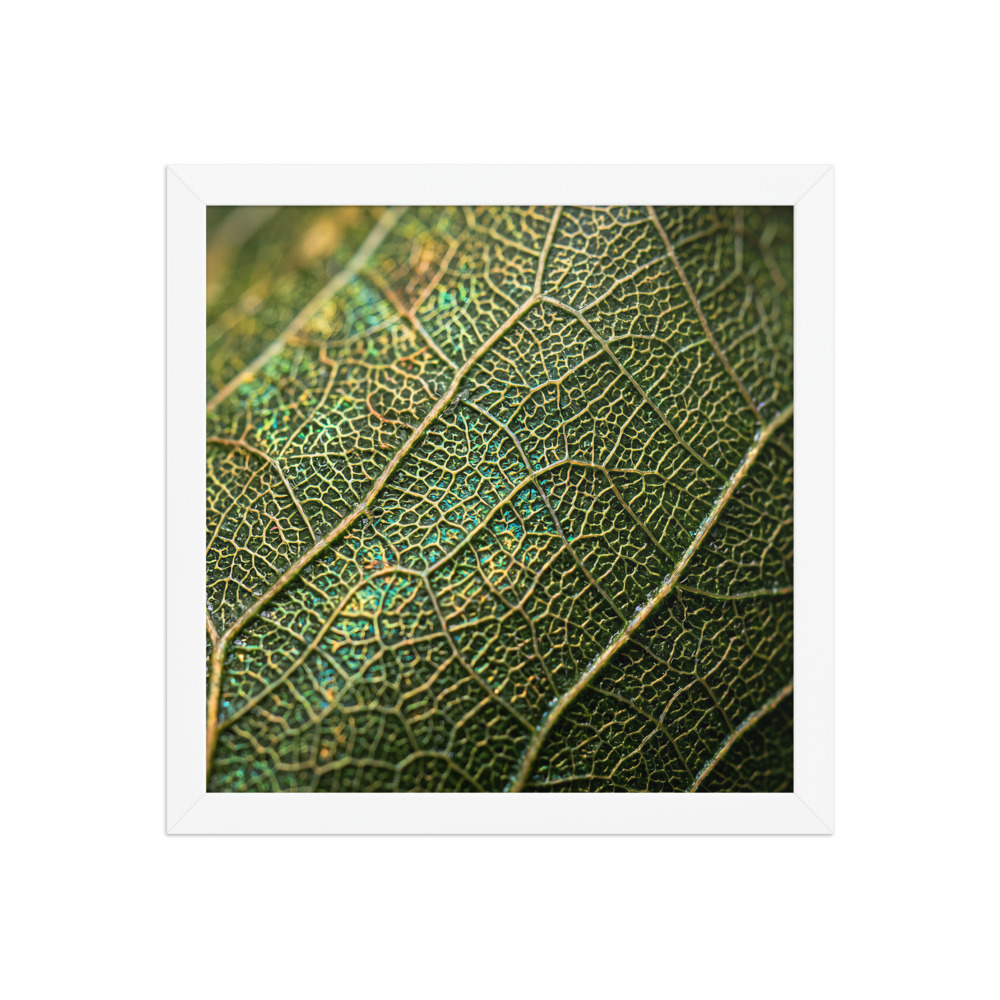 Microscopic Textures