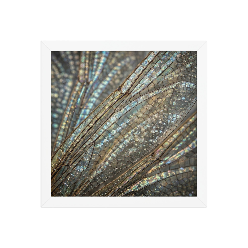 Dragonfly Wing Veins Art Print, macro nature photography, nature wall art, dragonfly lover gift, nature-inspired home decor