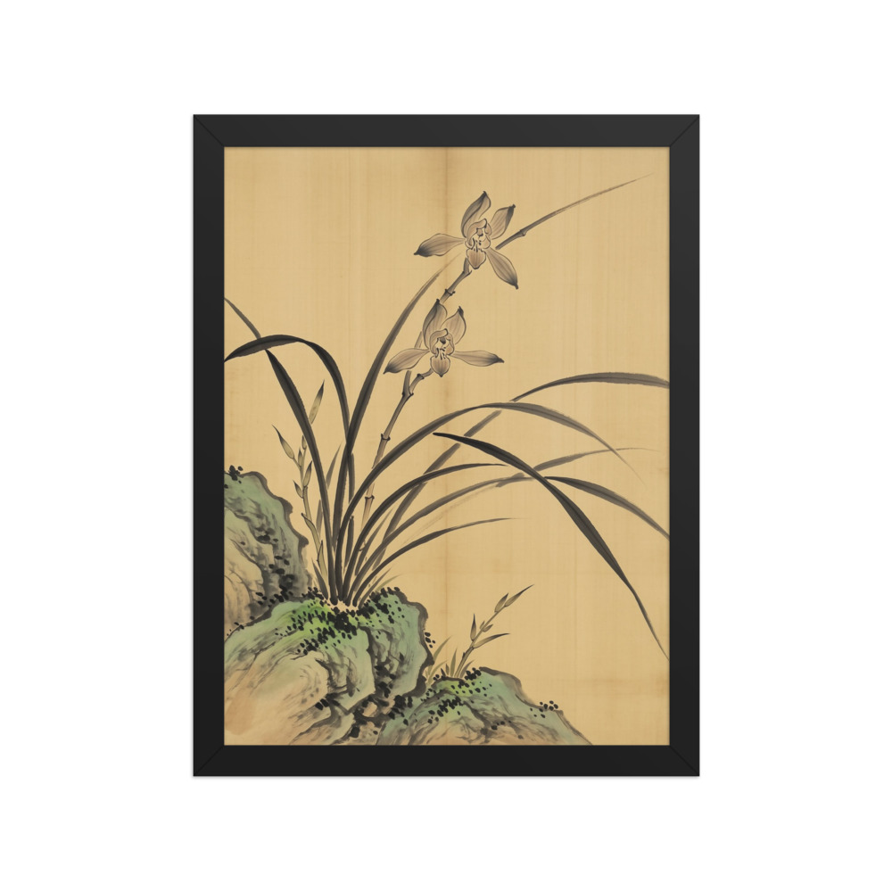 Orchid and Rock