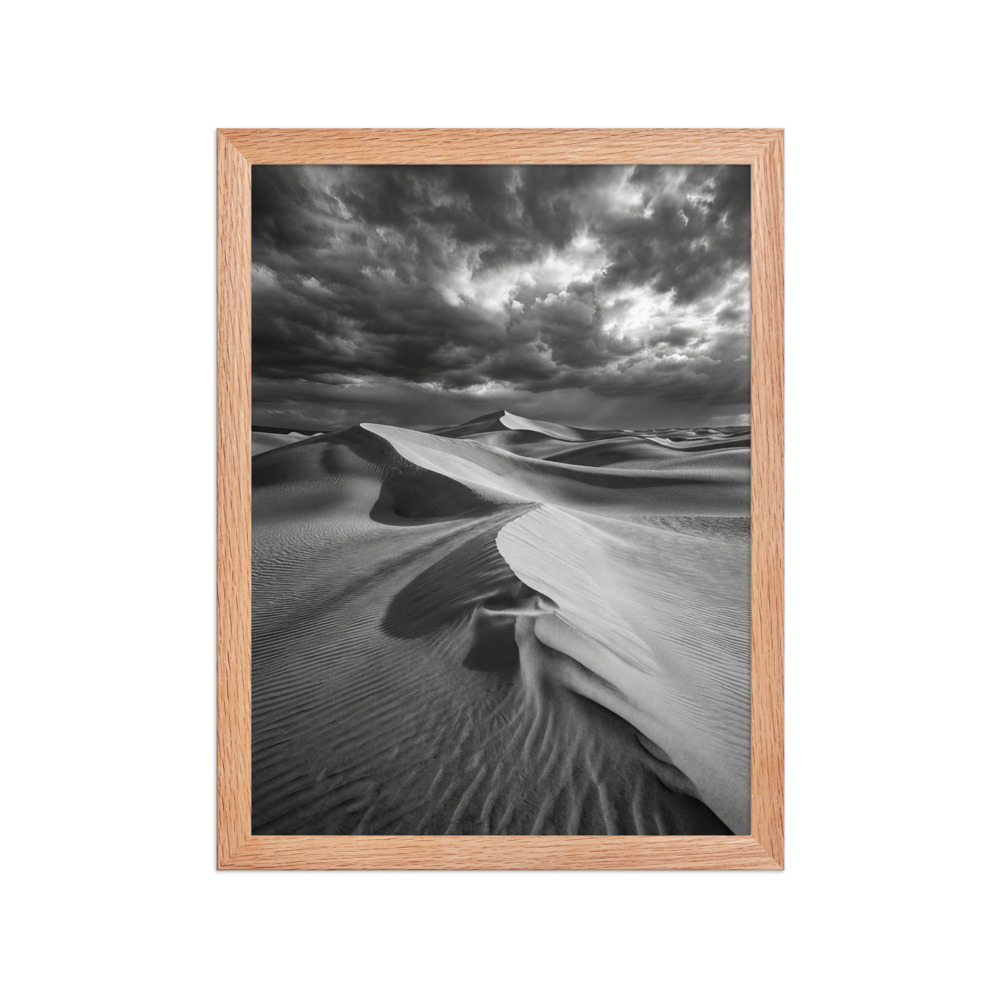 Windswept Sand Dunes