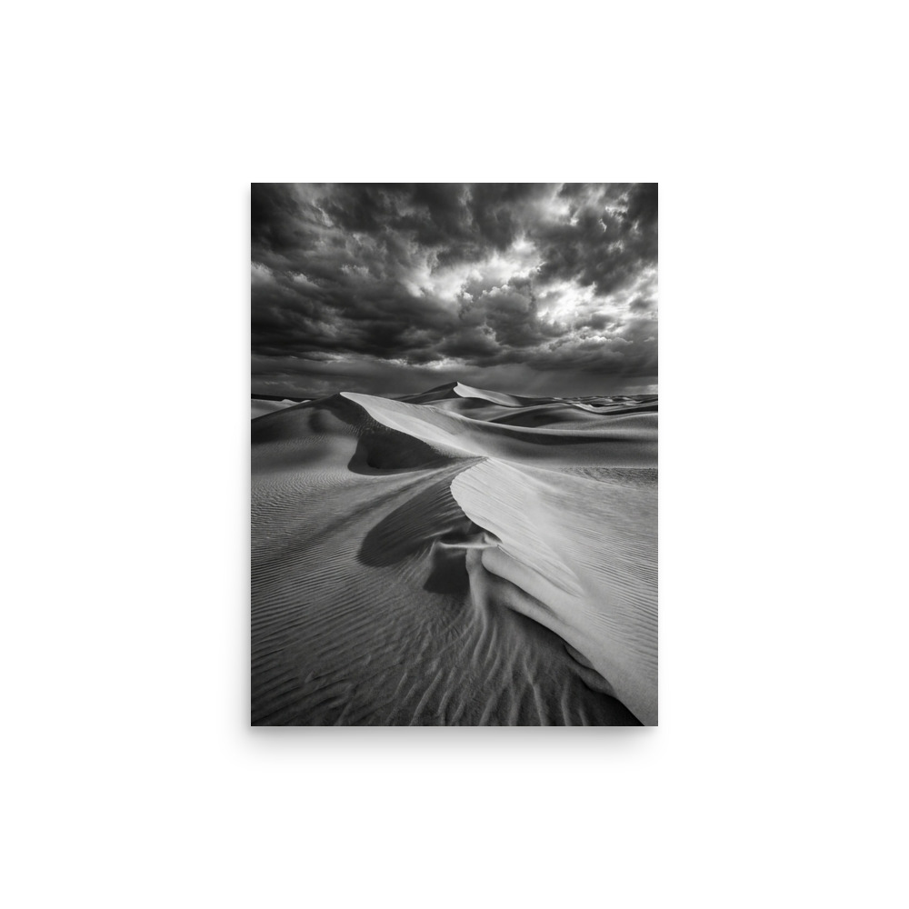Windswept Sand Dunes