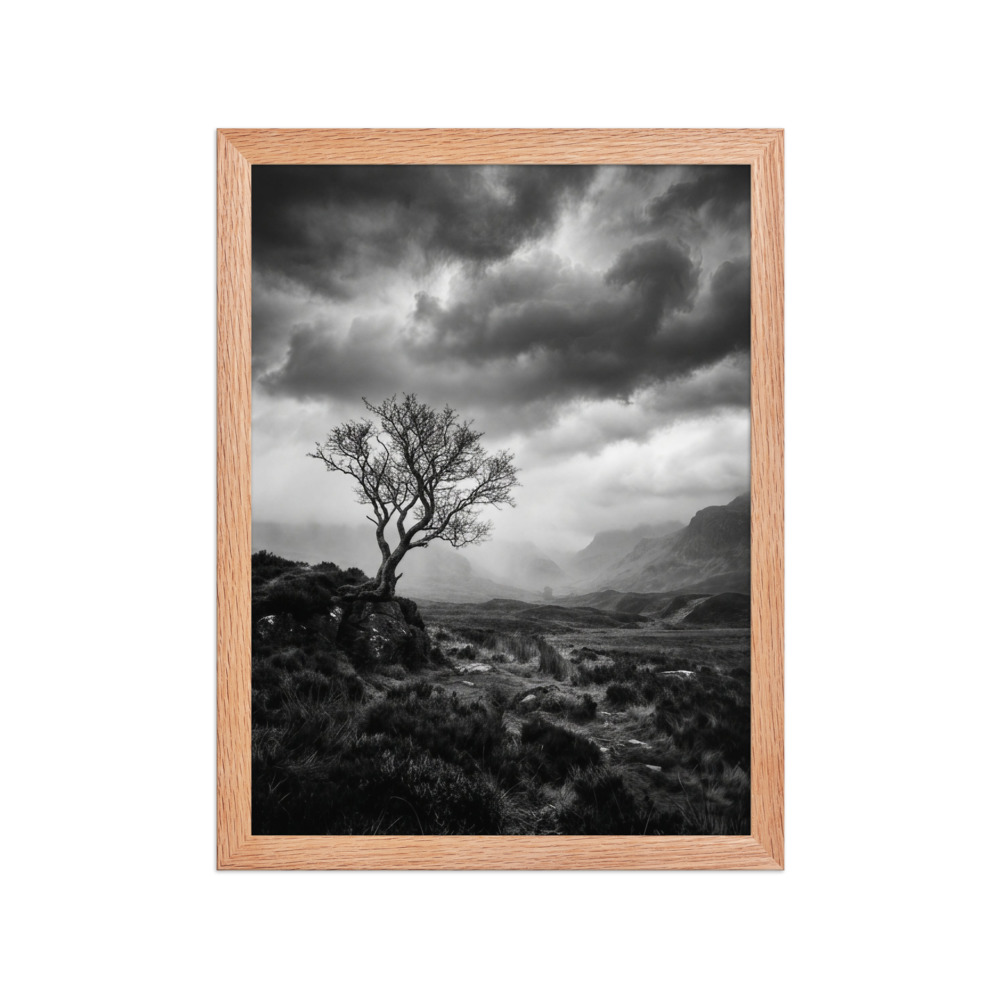 Lone Tree On Moor
