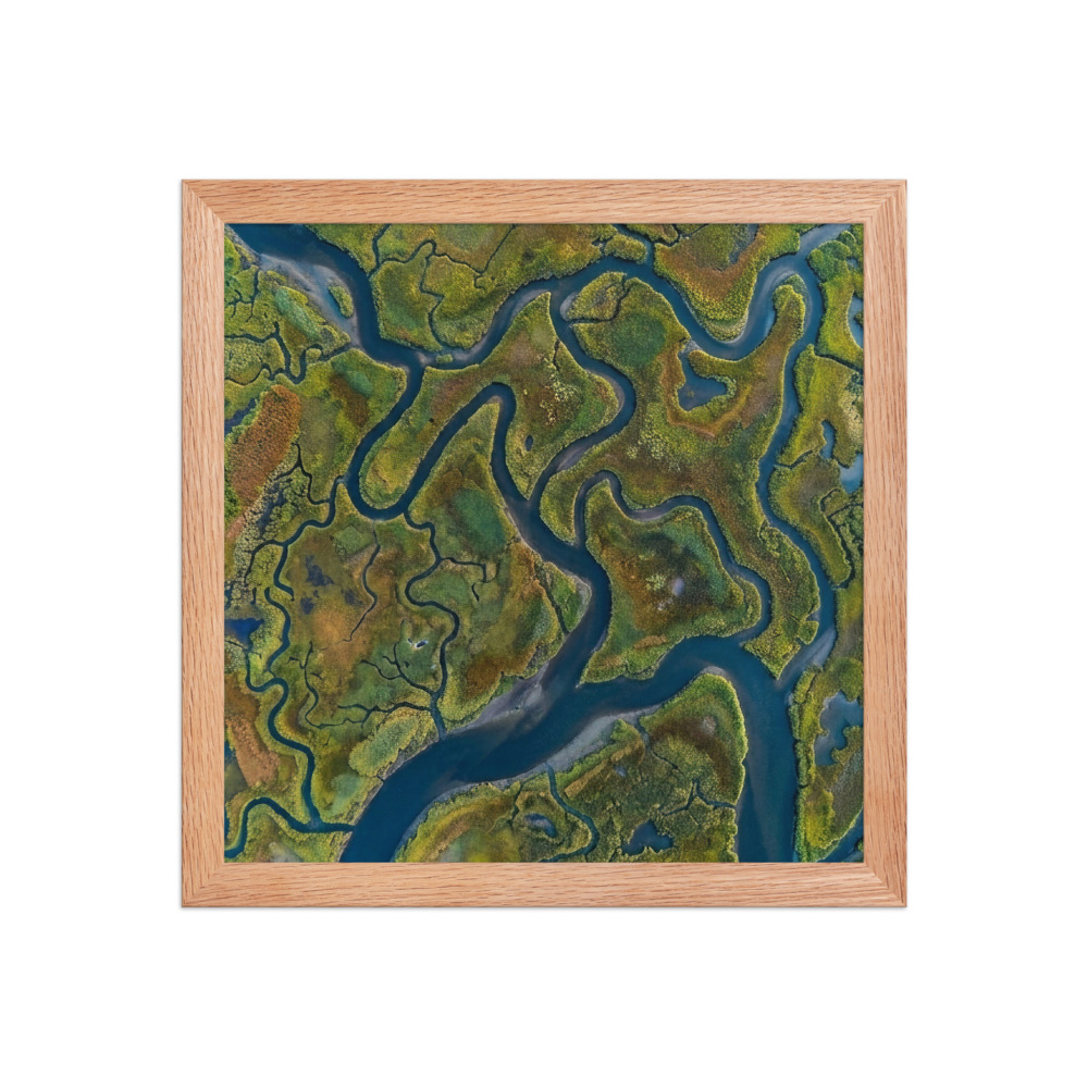 Tidal Marsh Channels