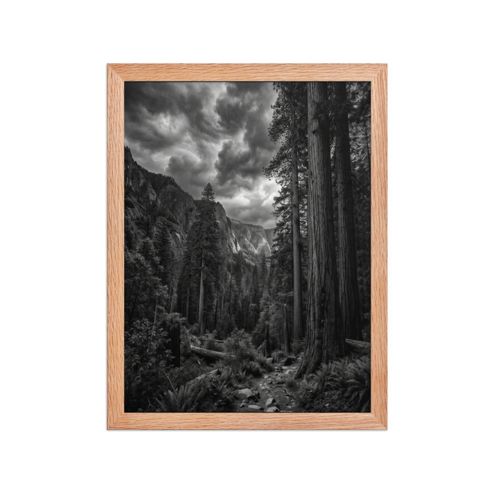 Ancient Redwood Forest