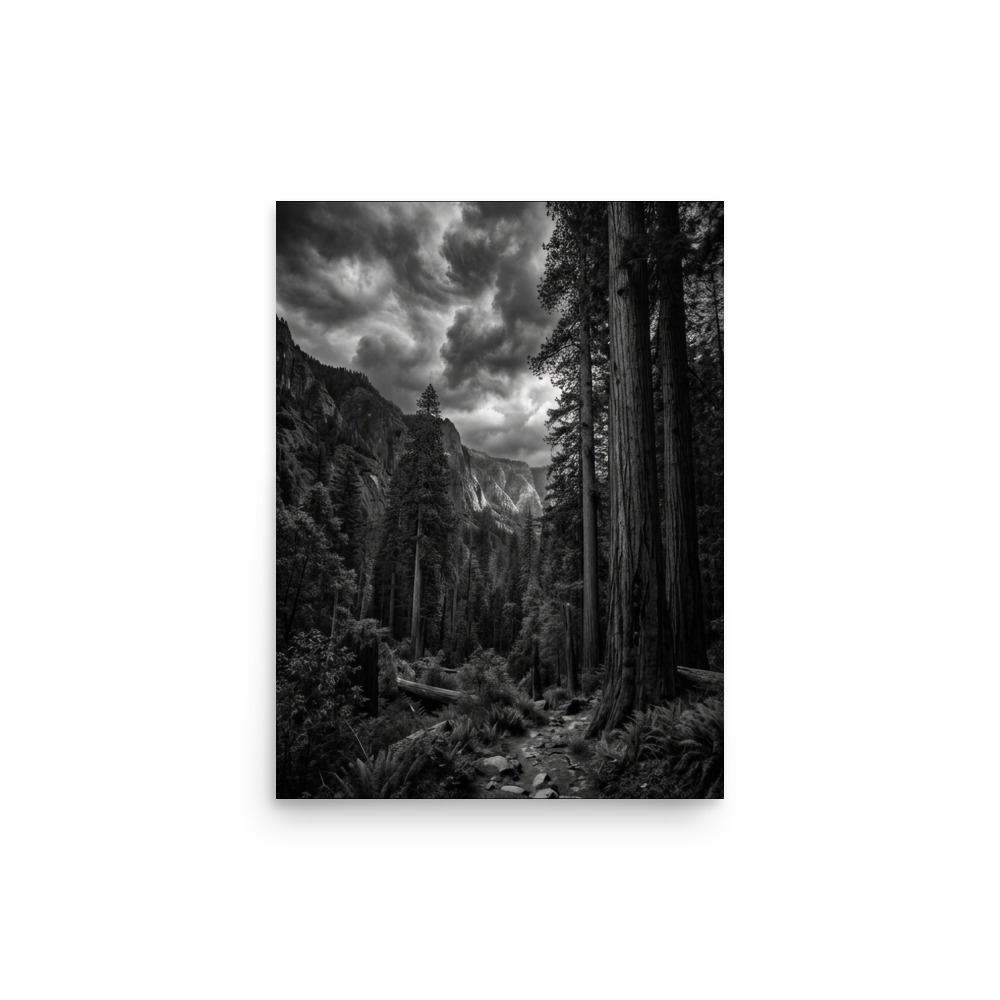 Ancient Redwood Forest
