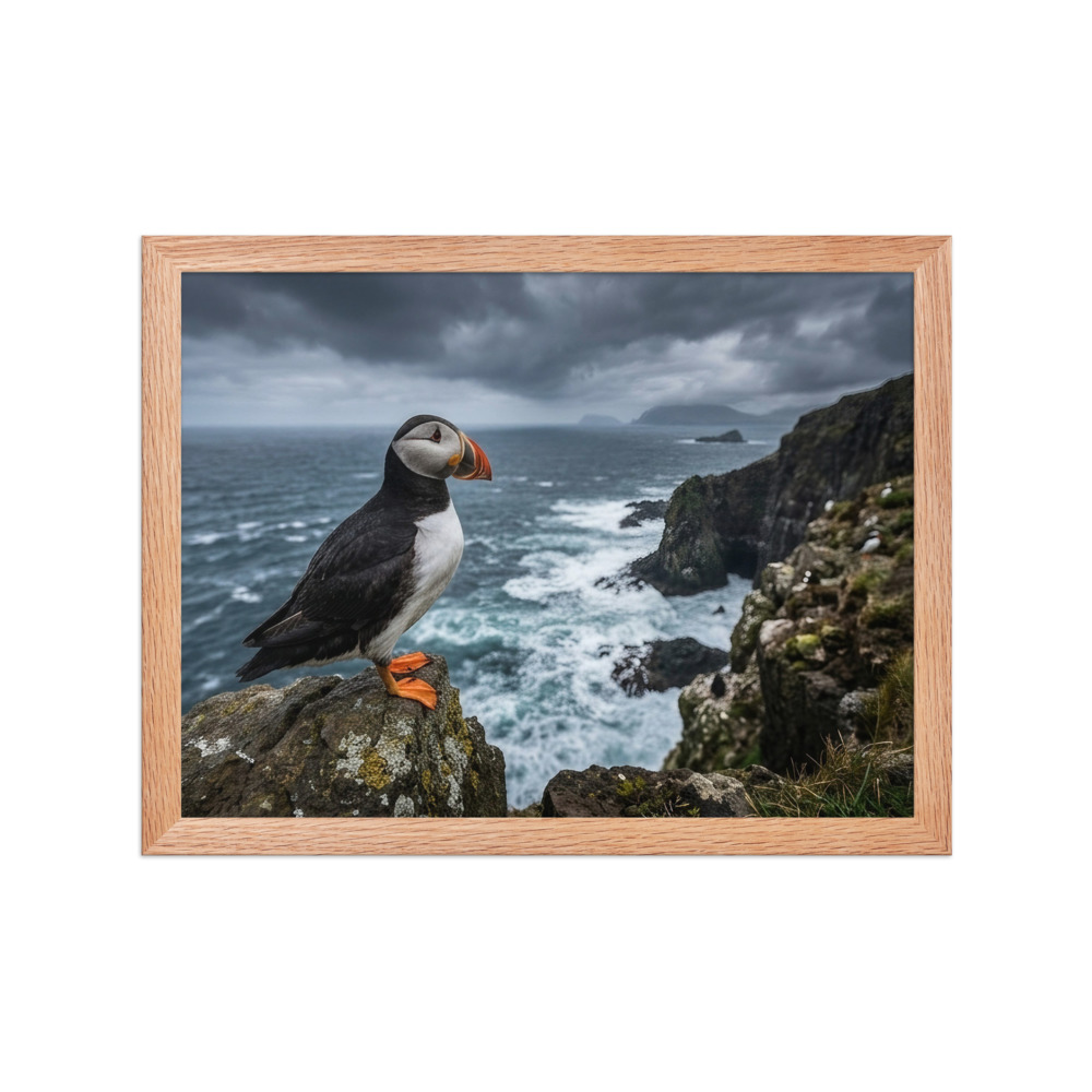 Atlantic Puffin
