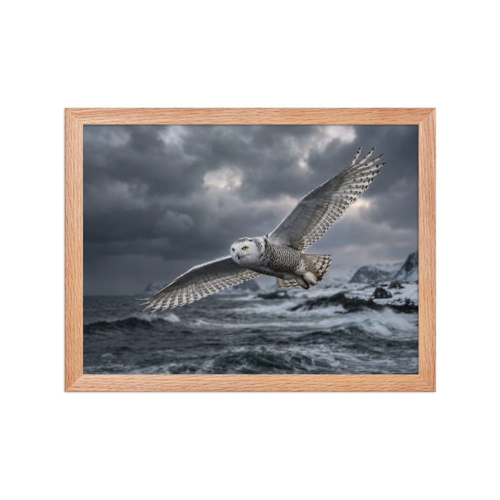 Snowy Owl In Flight