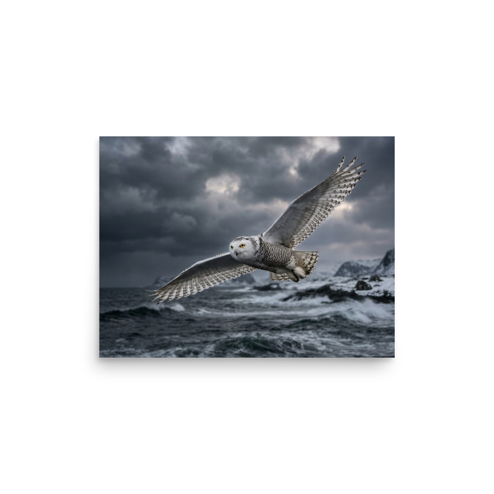 Snowy Owl In Flight