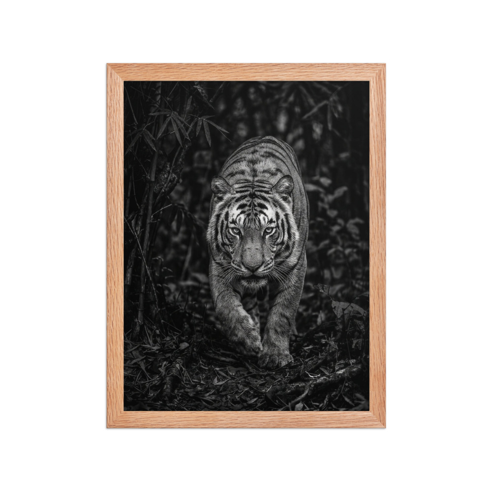 Bengal Tiger B&W