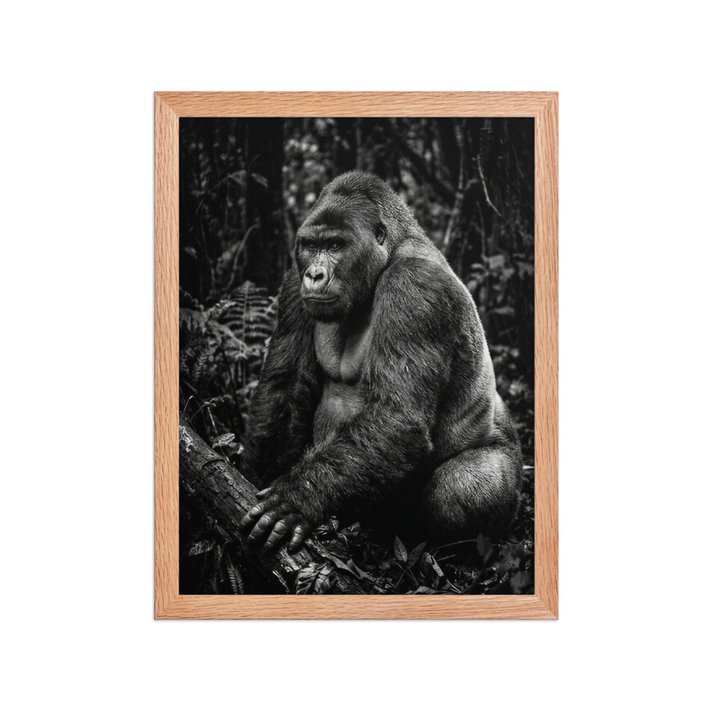 Silverback Gorilla B&W