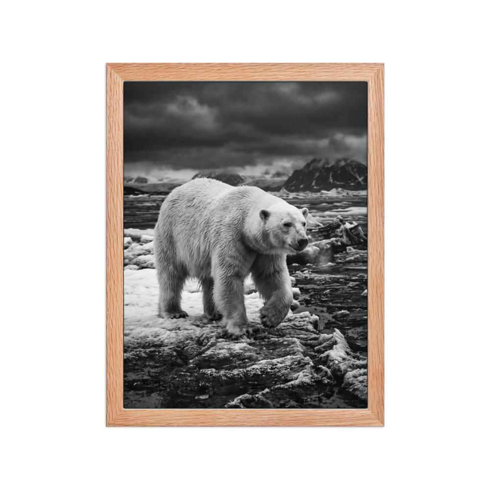 Polar Bear B&W