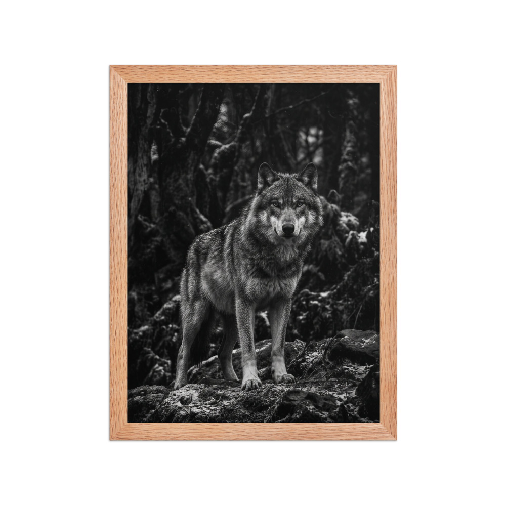 Gray Wolf B&W