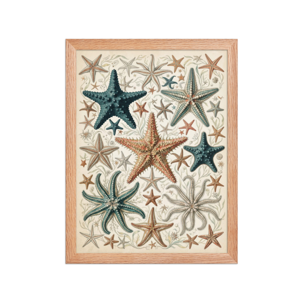 Starfish Art Print, antique marine illustration, coastal wall decor, natural history gift, ocean lover gift idea