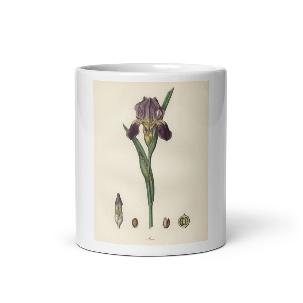 Iris Plate Mug, botanical floral design, ceramic coffee cup, tea lover gift, nature-inspired kitchen decor for home