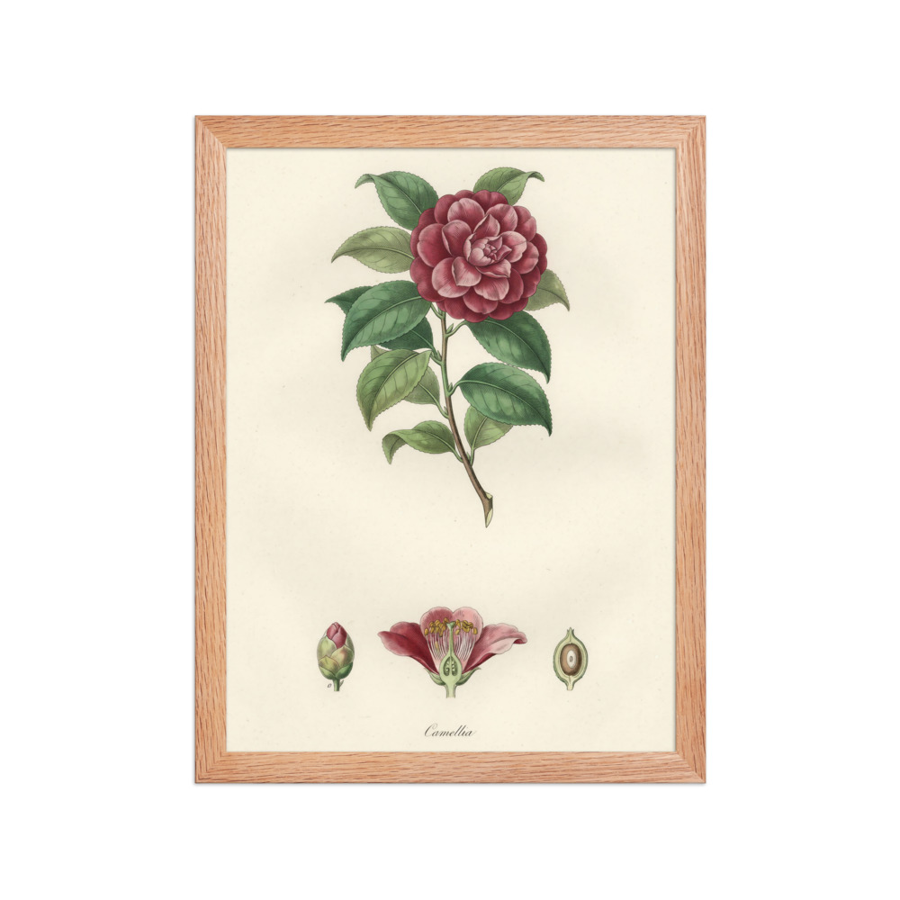 Wall Art & Prints