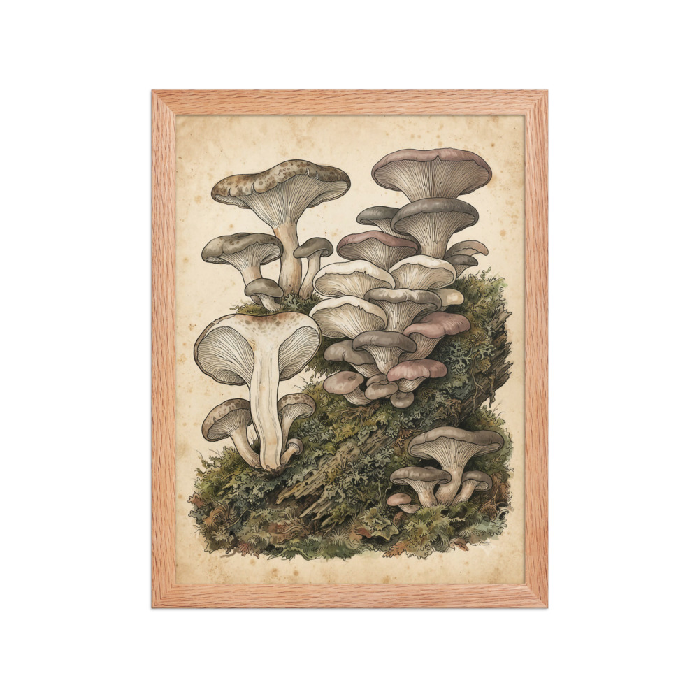 Oyster Mushroom Art Print, vintage botanical illustration, woodland wall decor, rustic home decor, nature lover gift