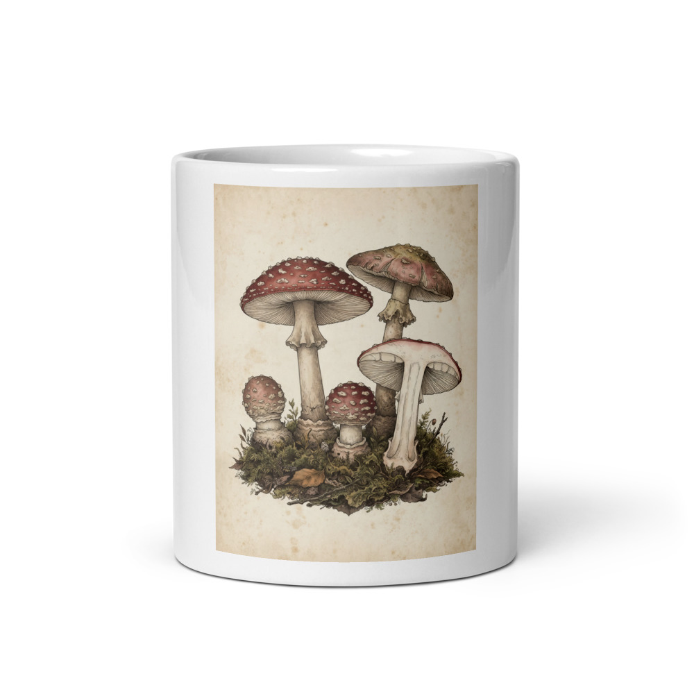 Fly Agaric Plate Mug, mushroom illustration mug, woodland kitchen decor, ceramic coffee cup, nature lover gift