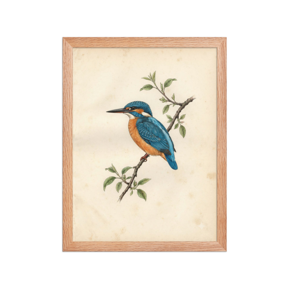 Ornithological Plates