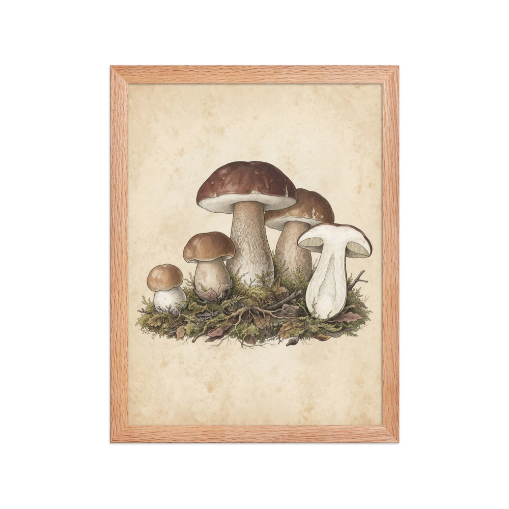 Porcini Mushroom Art Print, vintage botanical illustration, woodland wall decor, nature lover gift, antique field guide style