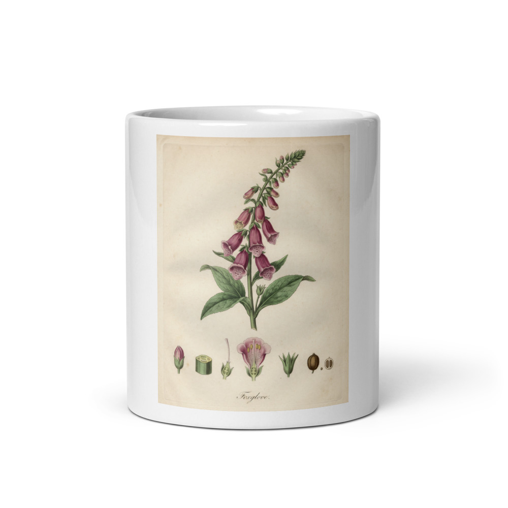 Foxglove Plate Mug, botanical floral design, ceramic kitchen drinkware, tea and coffee gift, garden lover gift