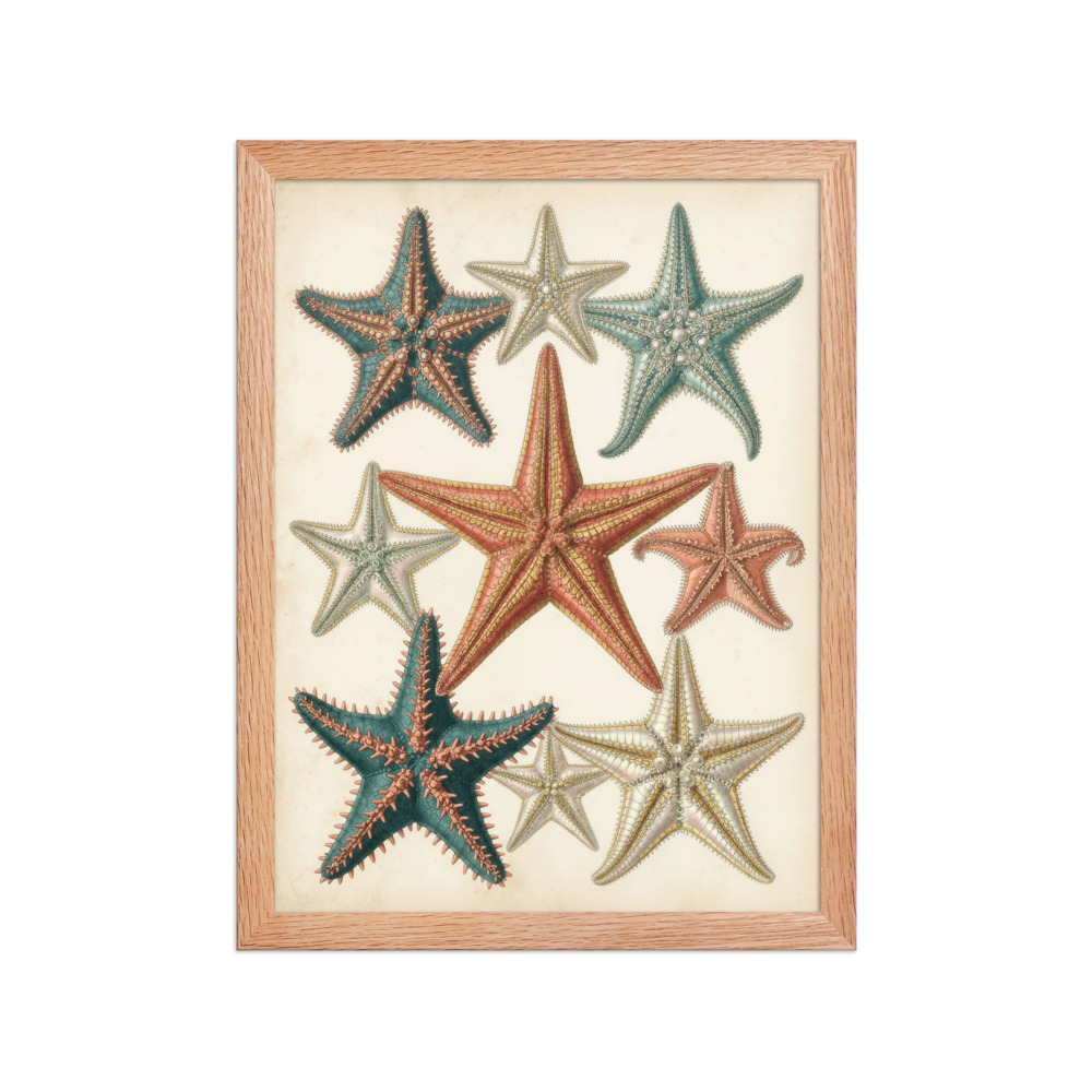 Starfish Art Print, antique marine illustration, coastal wall decor, vintage sea life art, ocean lover gift