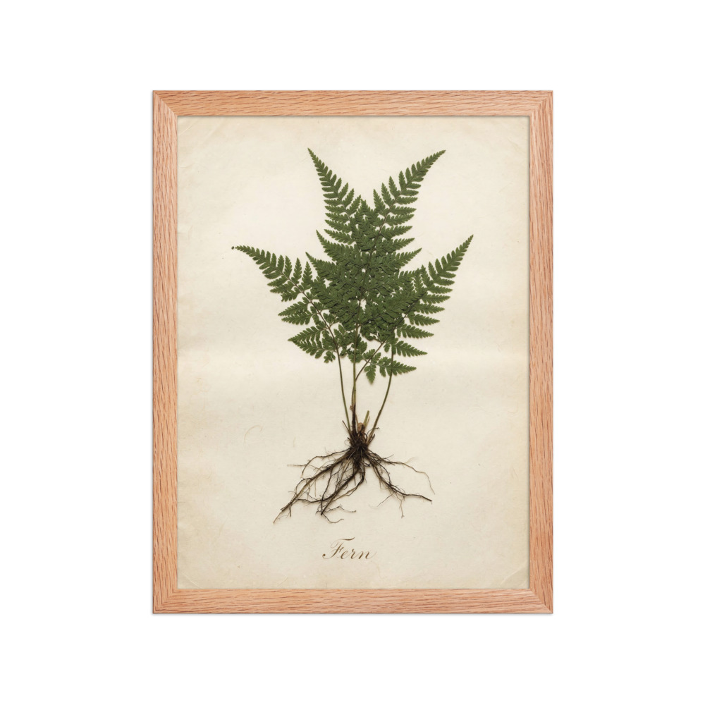 Fern Art Print, antique pressed herbarium study, botanical wall decor, romantic home decor, nature lover gift idea