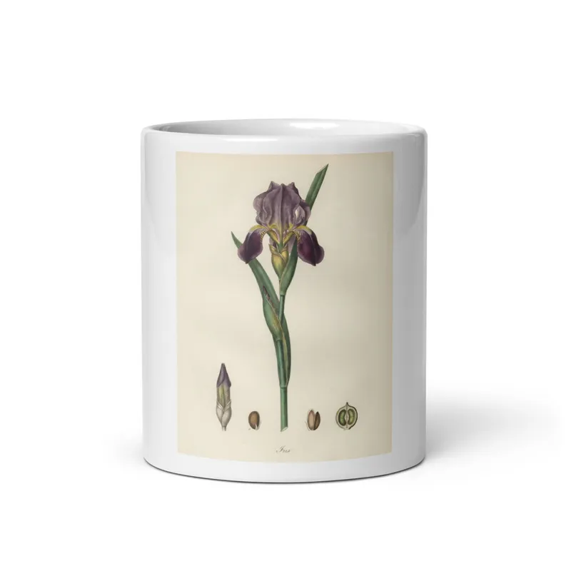 Iris Plate Mug, botanical floral design, ceramic coffee cup, tea lover gift, nature-inspired kitchen decor for home