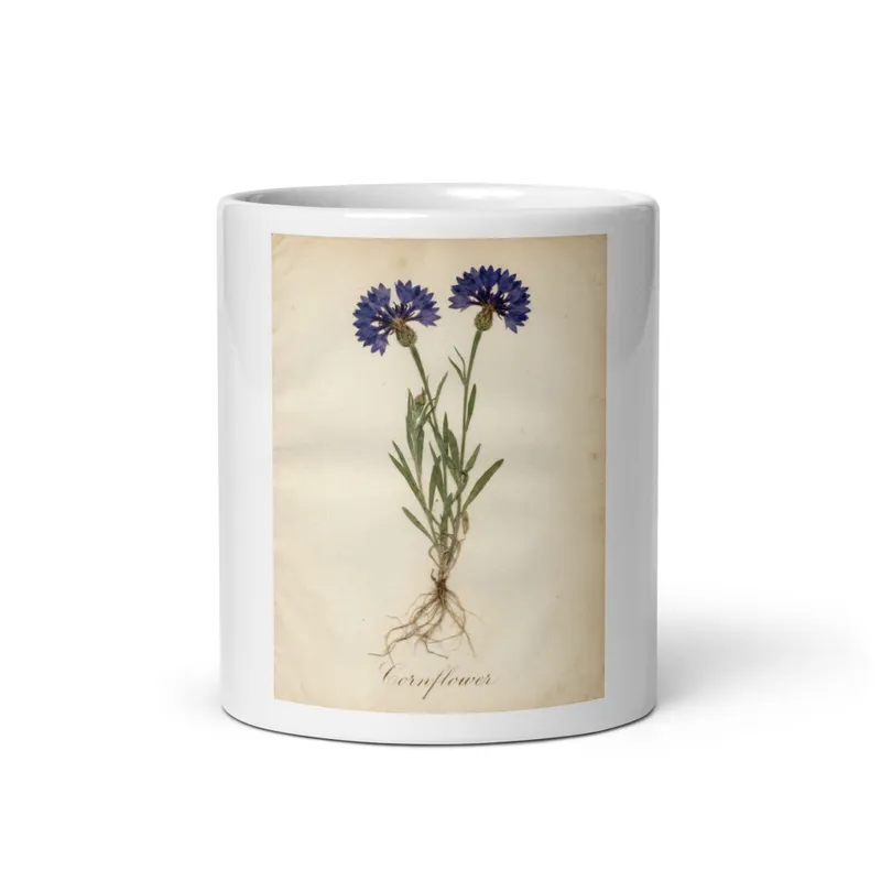 Cornflower Plate Mug, blue floral ceramic, botanical kitchen drinkware, coffee and tea gift, gift for flower lovers