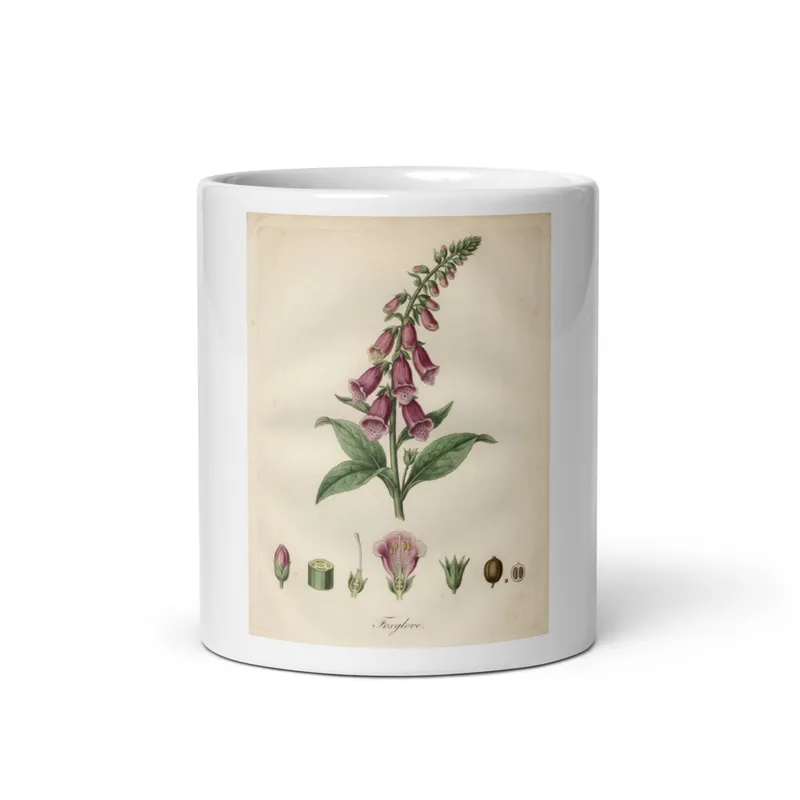 Foxglove Plate Mug, botanical floral design, ceramic kitchen drinkware, tea and coffee gift, garden lover gift