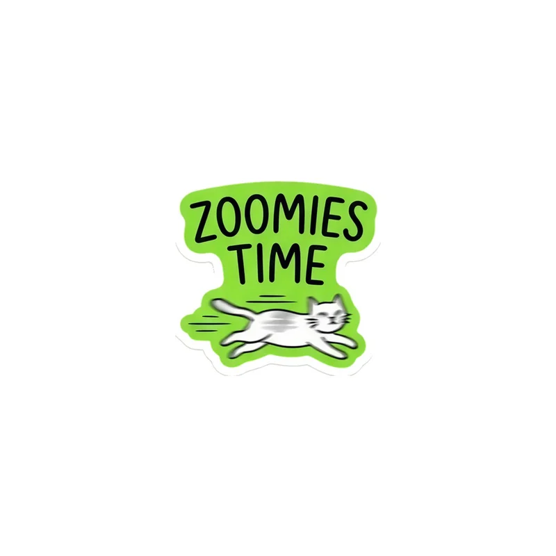 Zoomies Time Fridge Magnet, funny cat meme, cat lover decor, gift for cat people