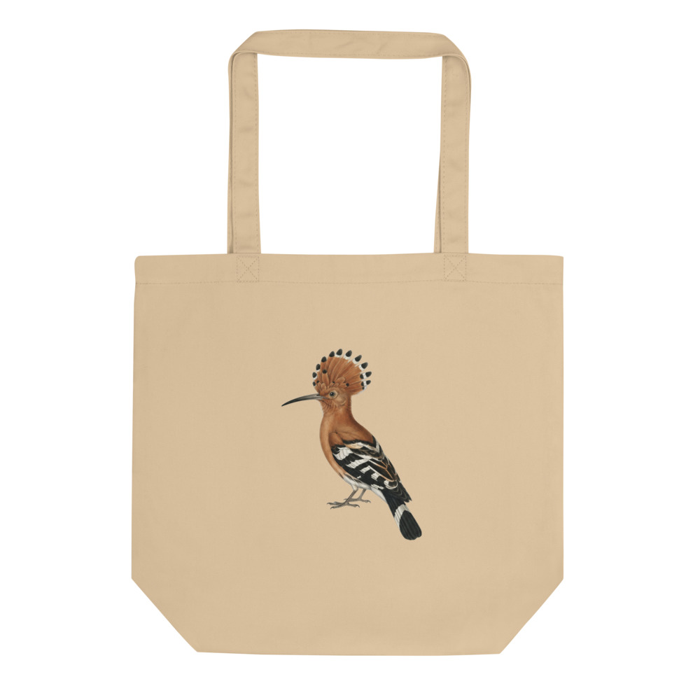 Hoopoe Study Tote Bag, bird illustration, nature-inspired tote, gift for bird lovers, everyday organic cotton tote