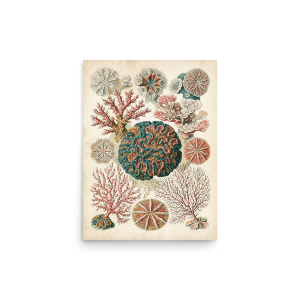 Coral Art Print, antique marine illustration, vintage watercolour wall art, coastal home decor, ocean lover gift