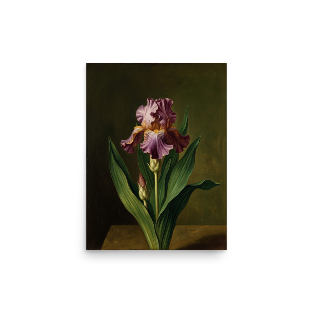 Iris Oil Painting