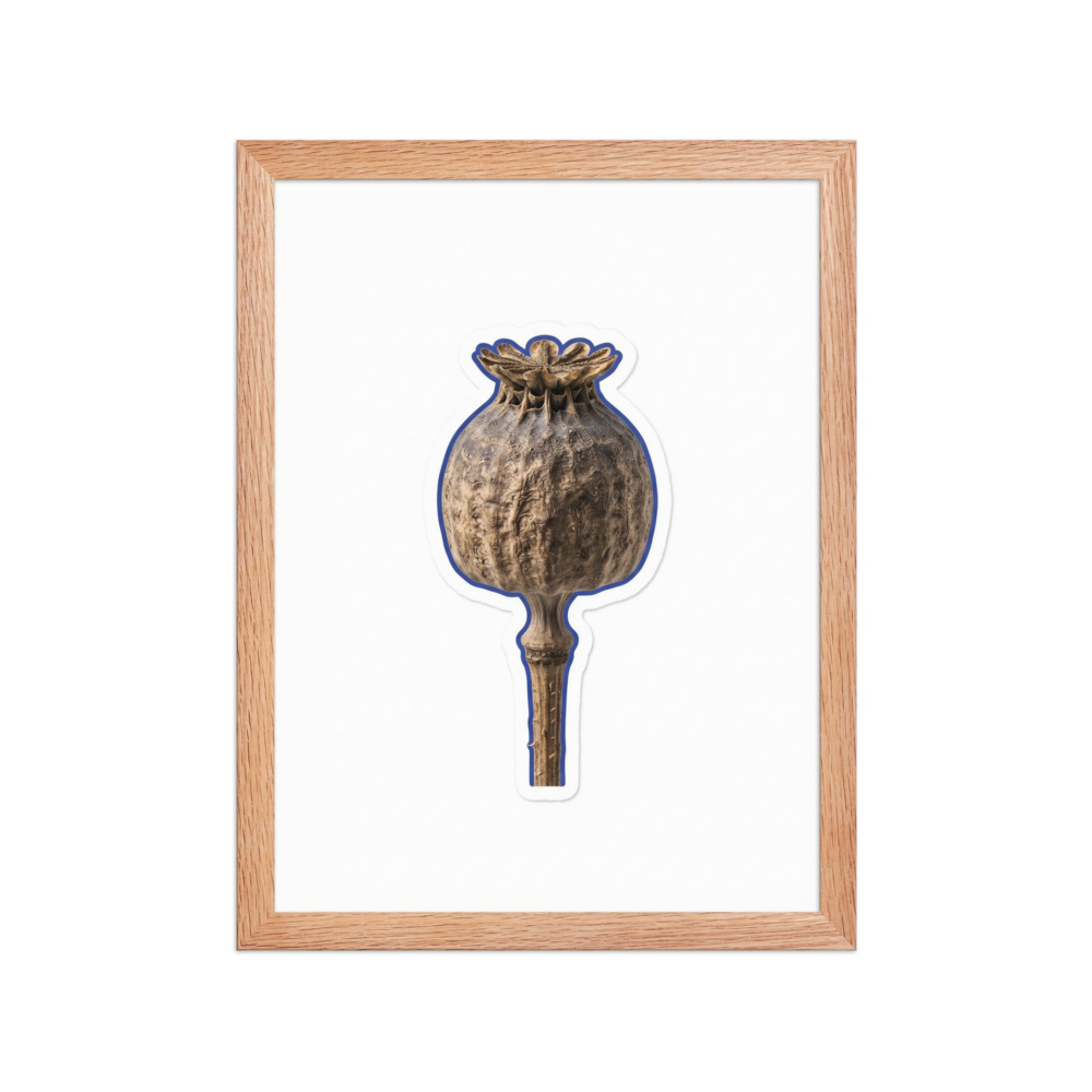 Oak Frame