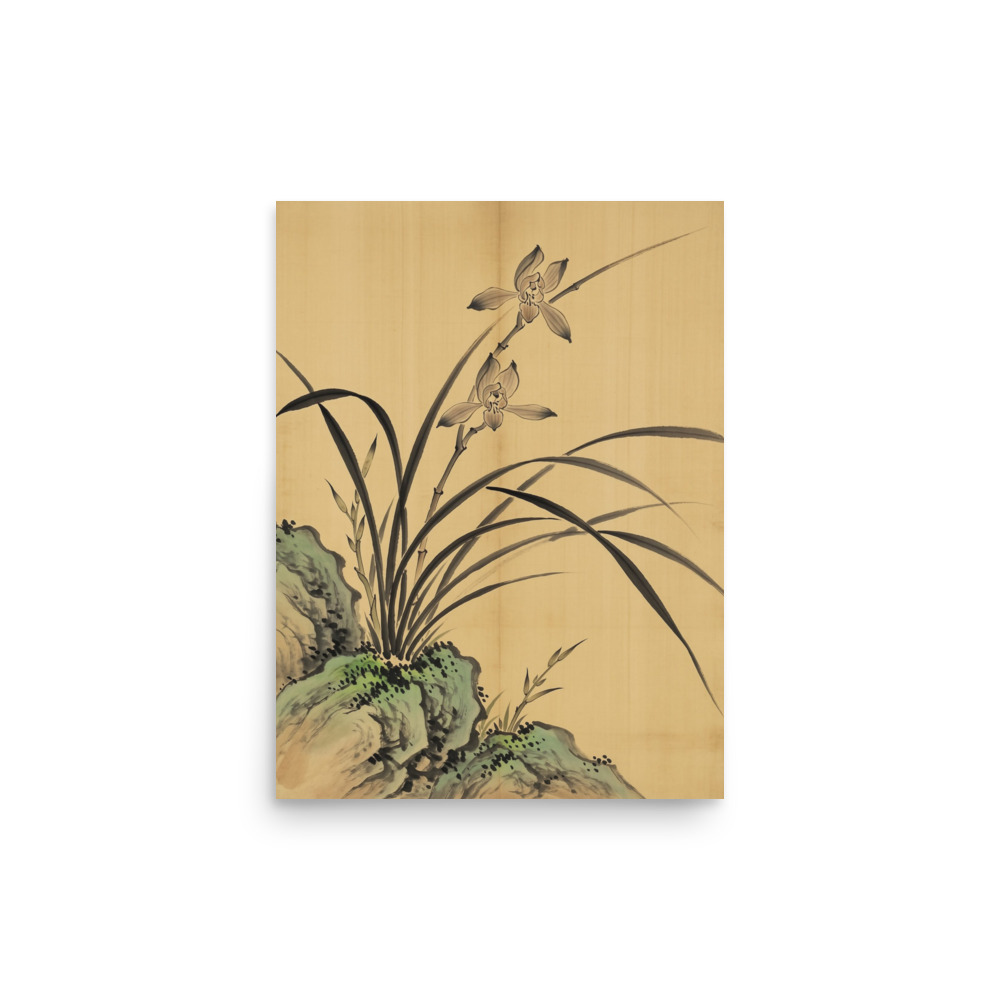 Orchid and Rock