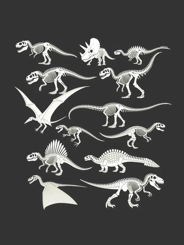 Dinosaur Skeleton Collection