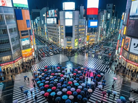 Shibuya Crossing