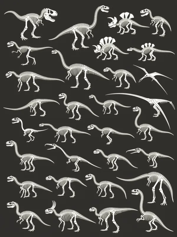 Sauropod Skeleton Chart