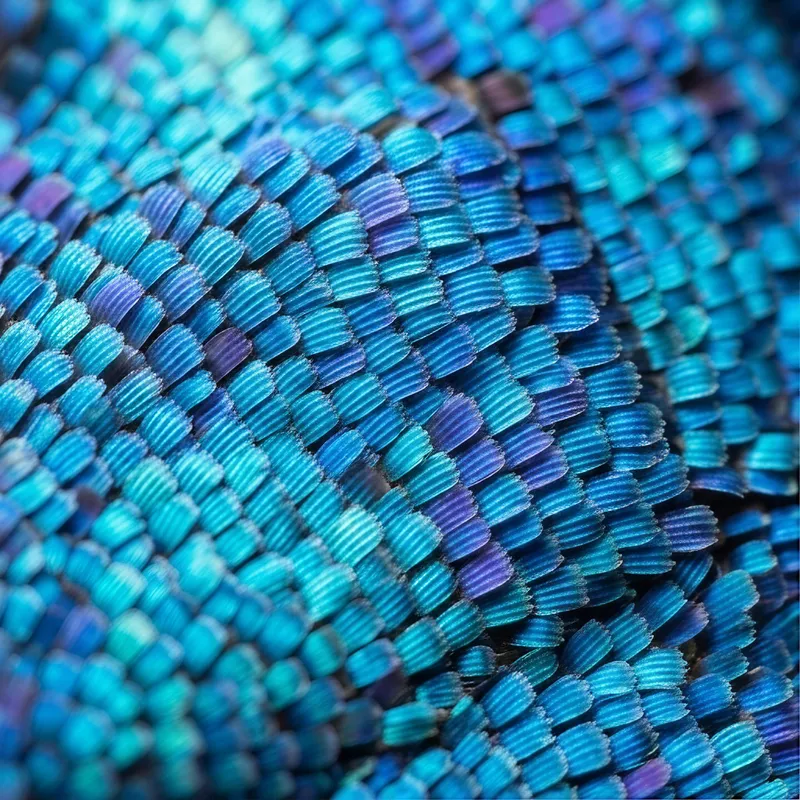 Microscopic Textures